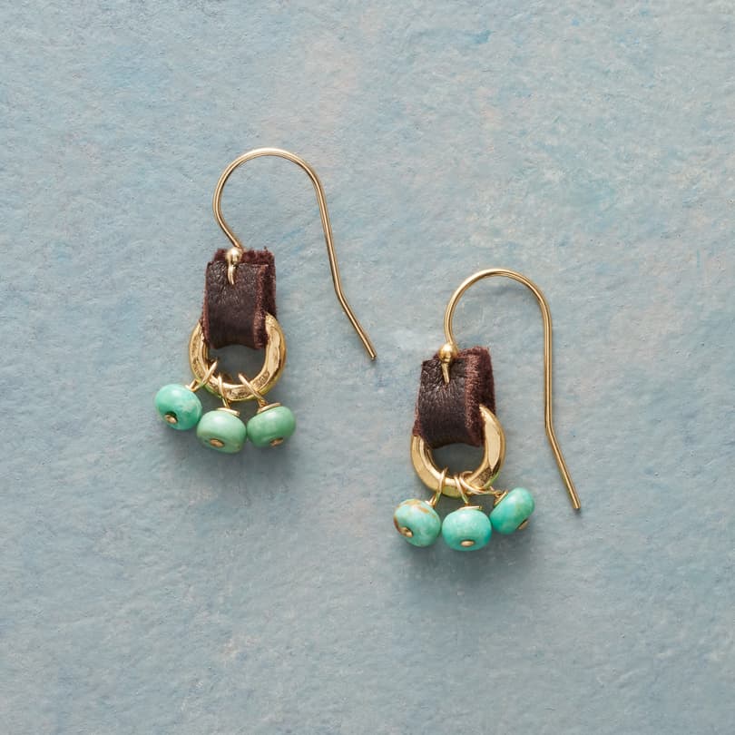 Leather Tidbit Earrings View 1