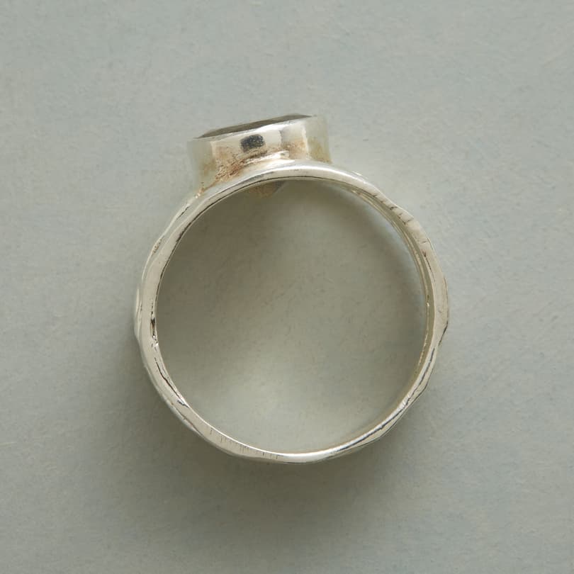 FOUR PART HARMONY RING view 1