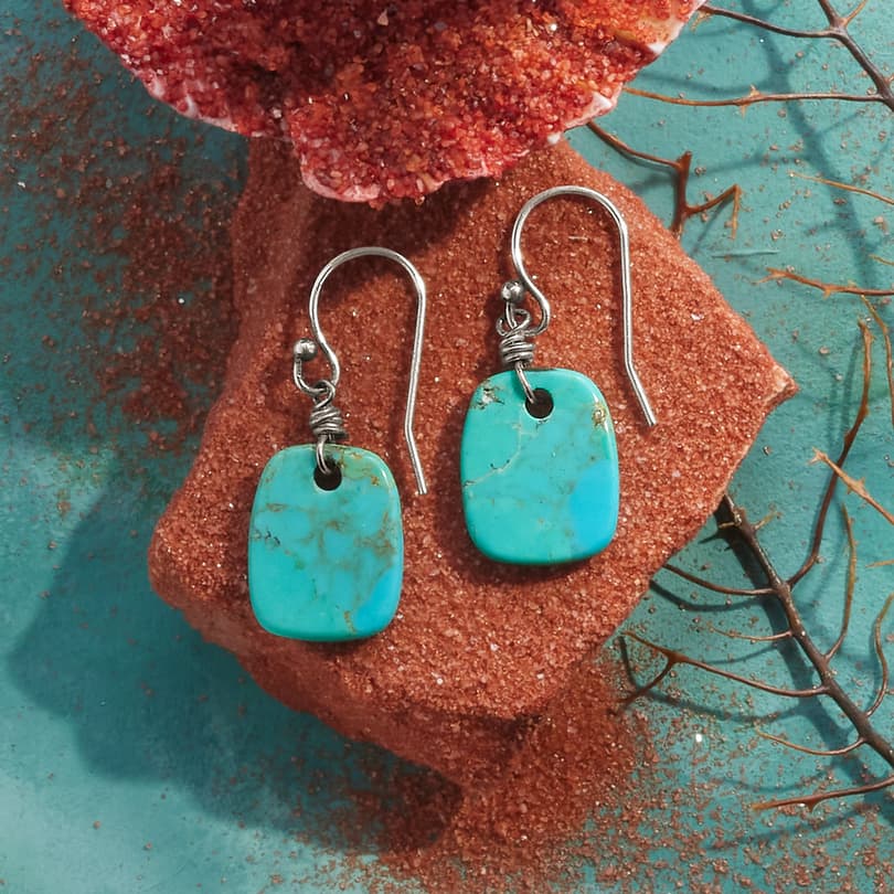 Nature's Art Turquoise Earrings View 3