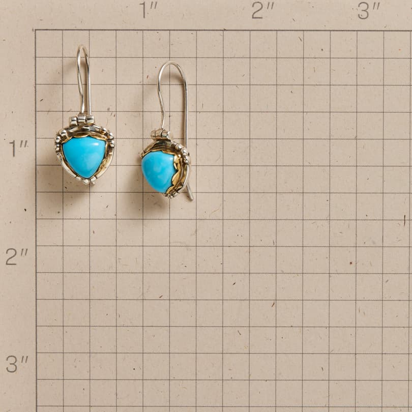 Turquoise Shield Earrings View 2