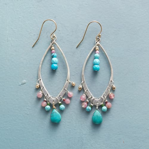 Resplendent Earrings