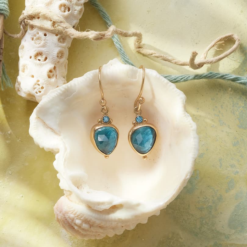 Ocean Shore Earrings View 3