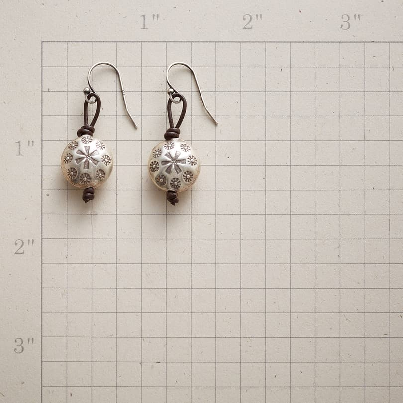 STARRY EYED EARRINGS view 1