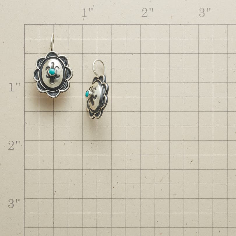 RANGE RIDER EARRINGS view 1