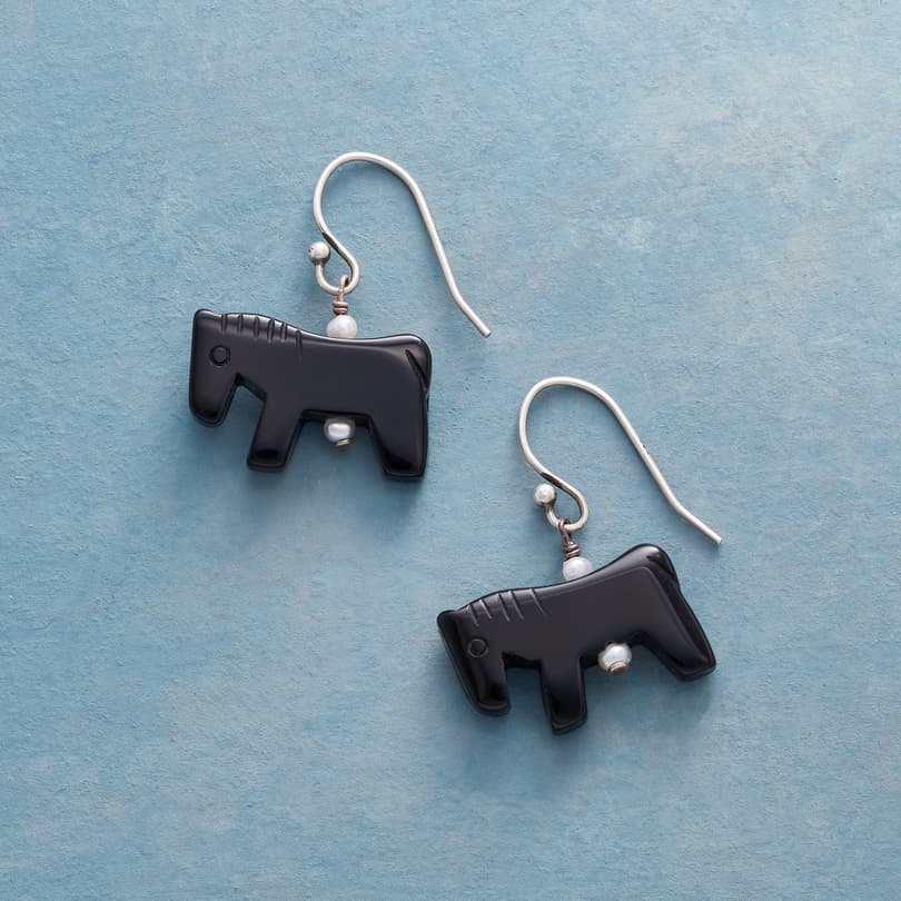 Black Mustang Earrings View 1