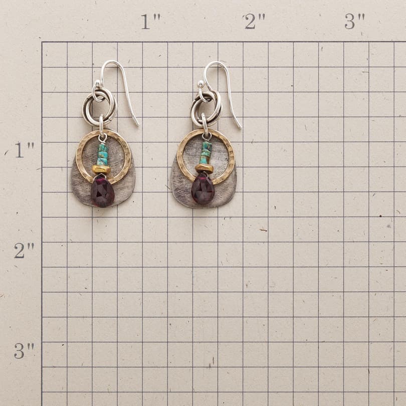 CIRCLES AND STONES EARRINGS view 1