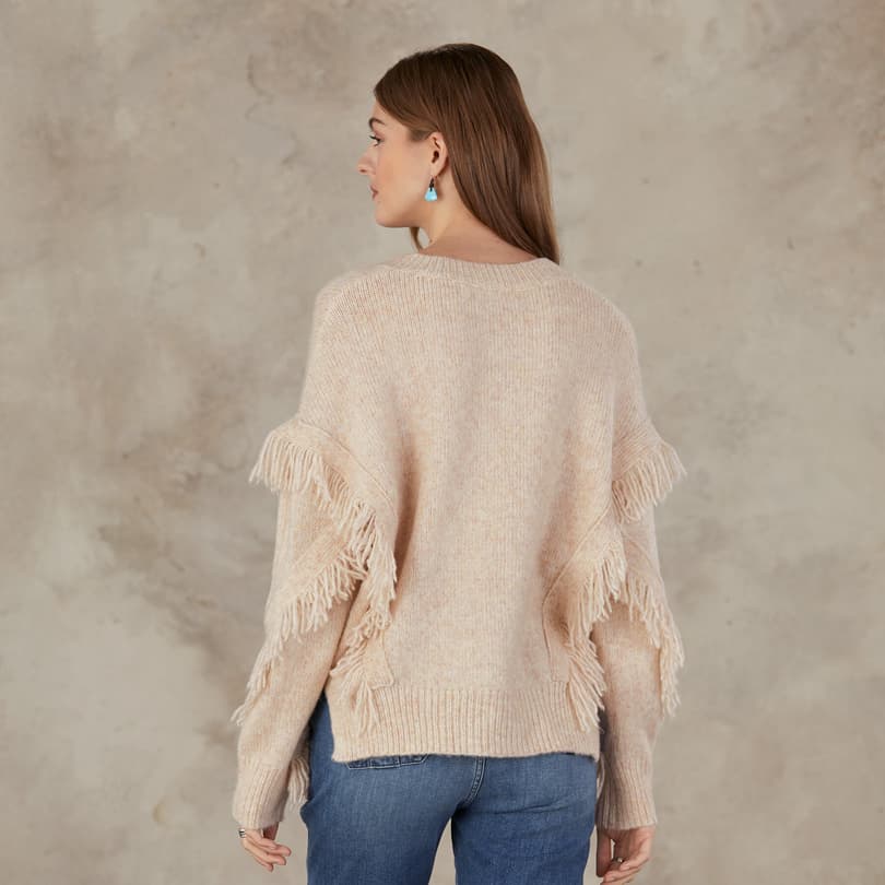 GO WEST V-NECK SWEATER view 1