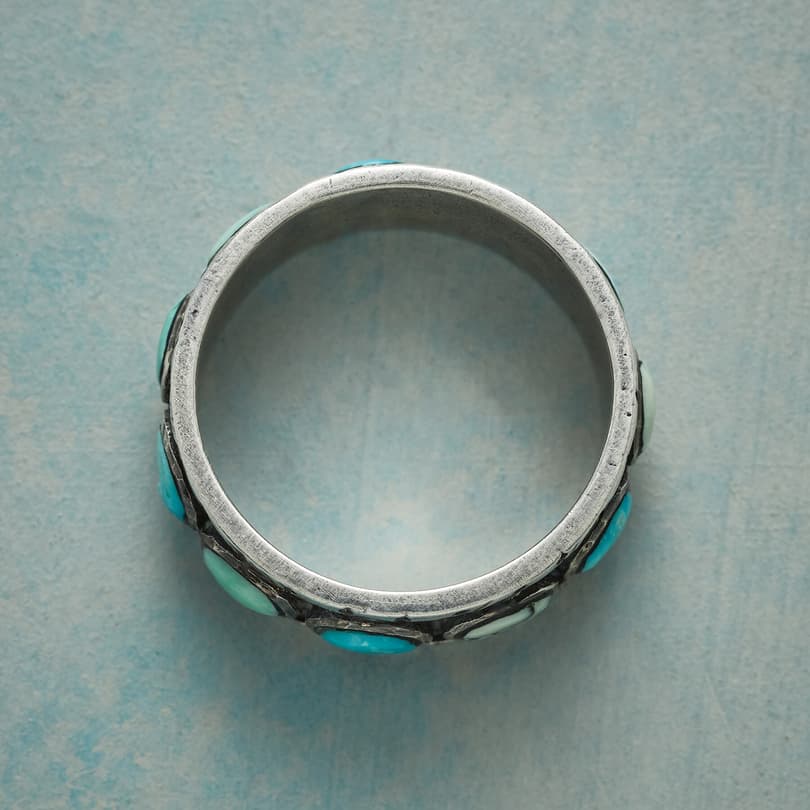 IN THE ROUND TURQUOISE RING view 1