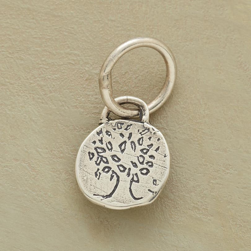 STERLING SILVER GROW STRONG CHARM view 1