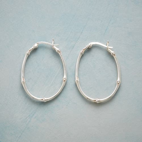 VINEYARD HOOP EARRINGS view 1