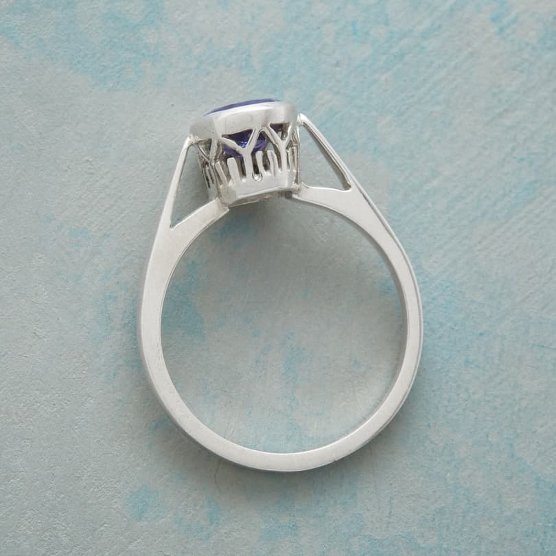 ELEVATED ELEGANCE RING view 1