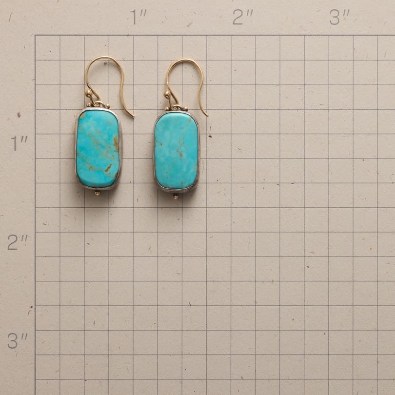 Arizona Turquoise Earrings View 2