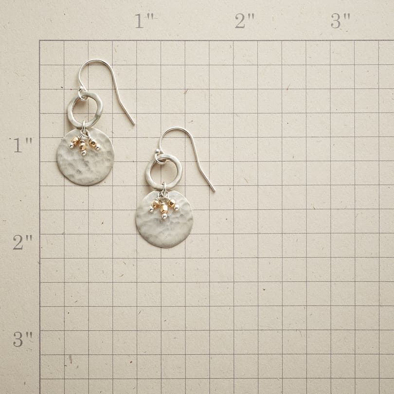 DISC & DANGLE EARRINGS view 1