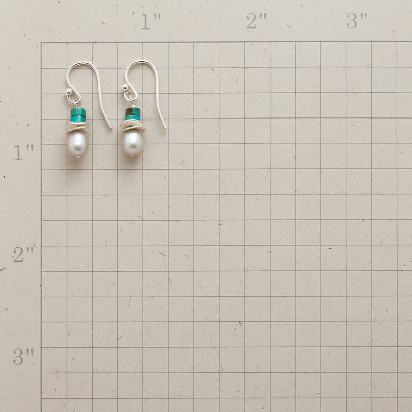 TURQUOISE TOPPER EARRINGS view 1