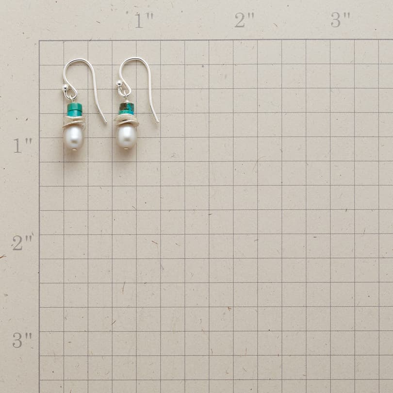TURQUOISE TOPPER EARRINGS view 1