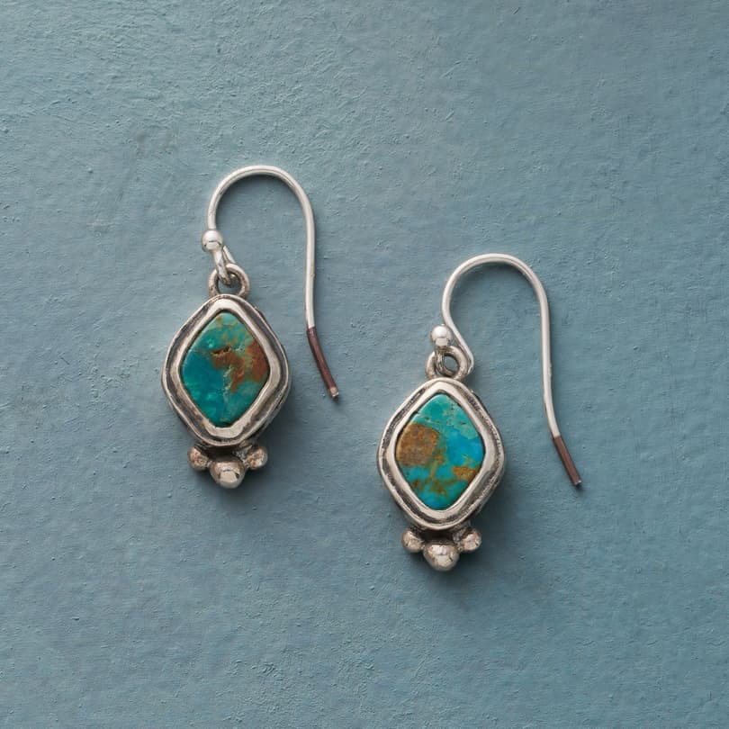 Blue Mountain Earrings View 1