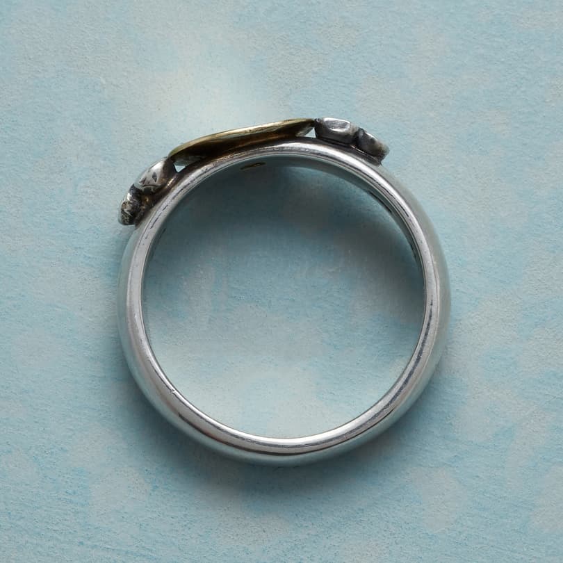 GOLDEN OFFERING RING view 1