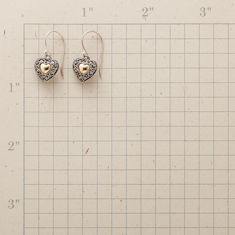 FULL HEART EARRINGS view 1