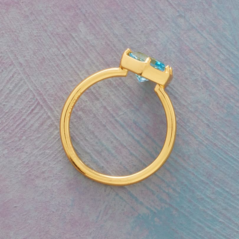 Let's Bee Clear Ring View 2