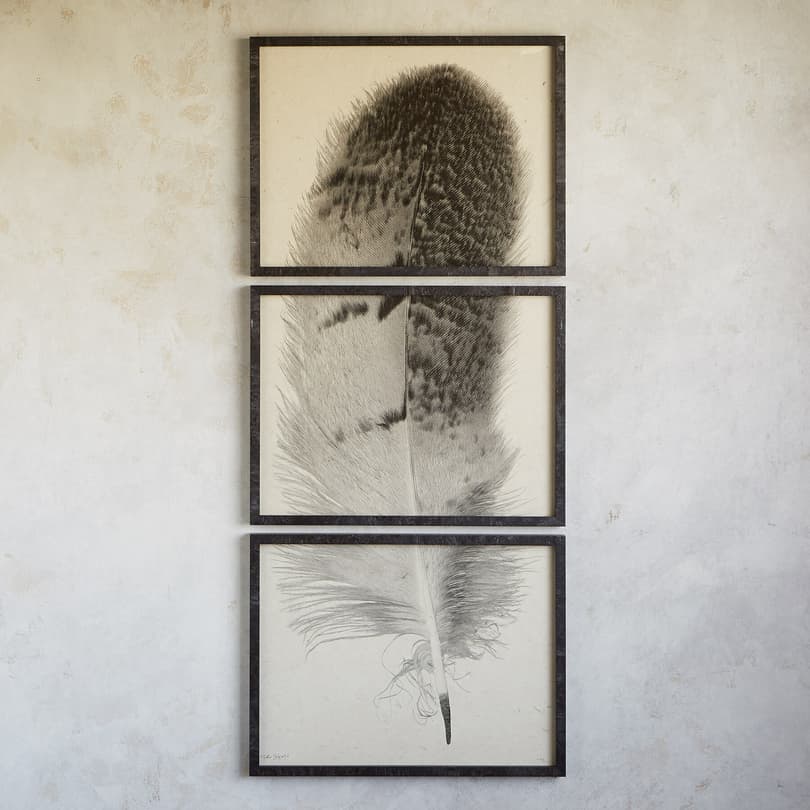 FEATHER STUDIES TRIPTYCH PRINT, SET OF 3 view 1