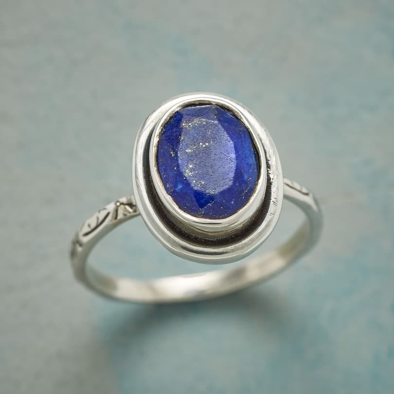 OUTLINED INDIGO RING view 1