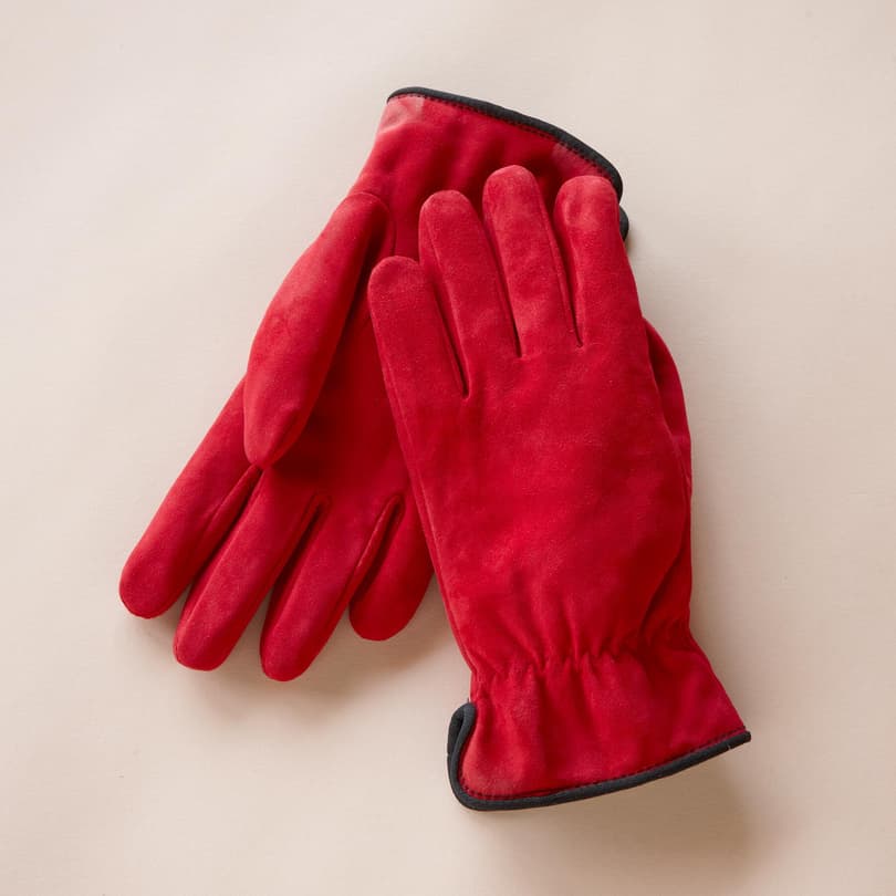 ANY WEATHER SUEDE GLOVES view 1