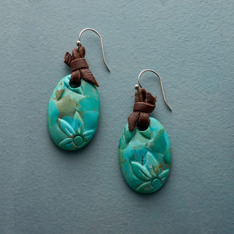 Turquoise Cartouche Earrings View 1