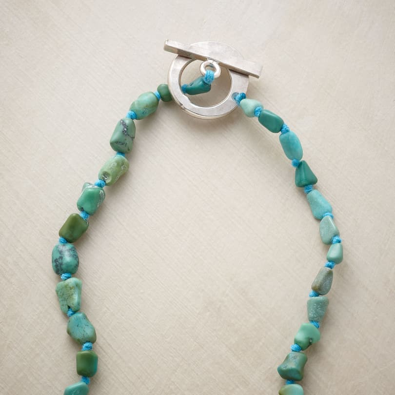 TURQUOISE SWIFT RIVER NECKLACE view 2