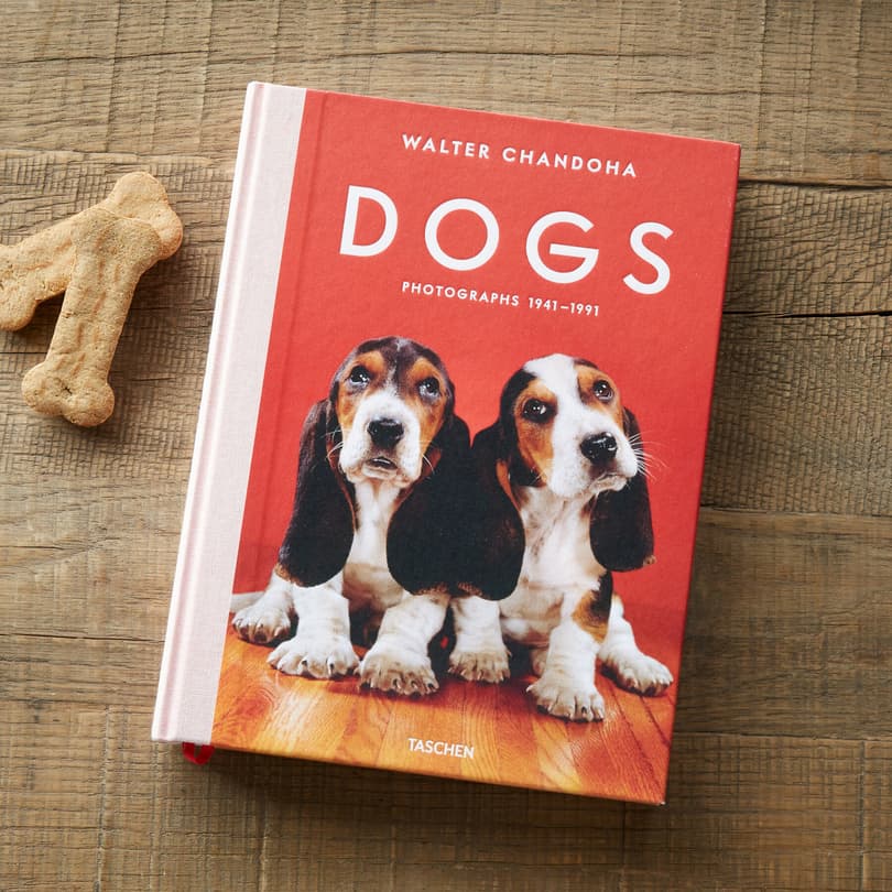 DOGS BOOK view 1