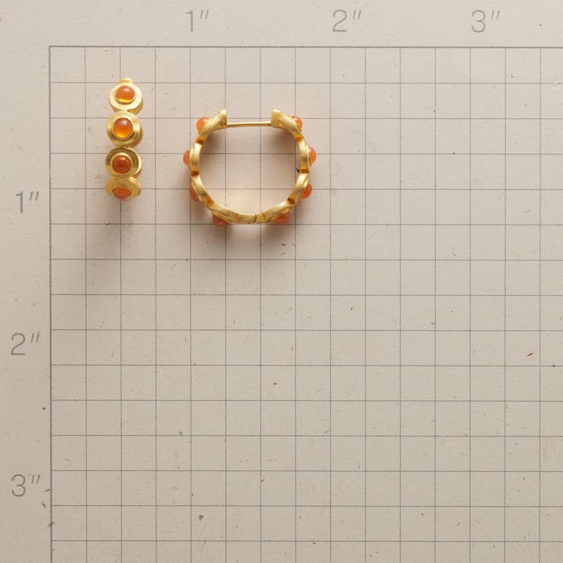 Carnelian Circle Hoop Earrings View 2