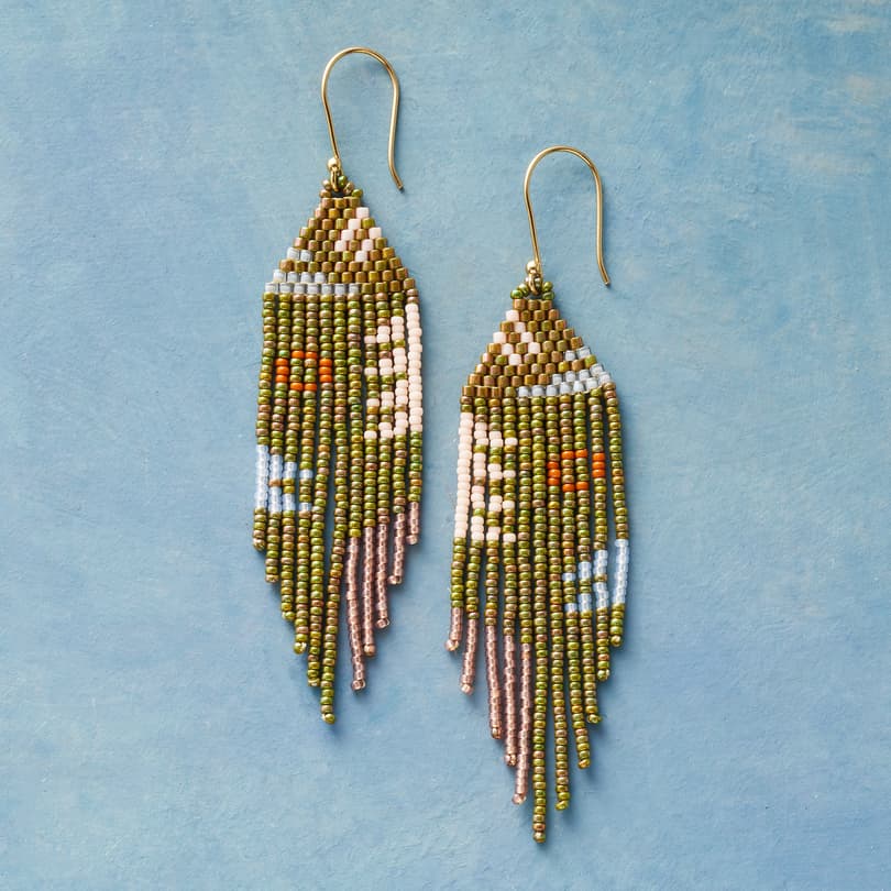 Viva La Verde Earrings View 1