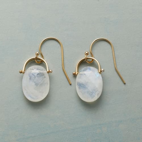 HORSESHOE MOONSTONE EARRINGS view 1