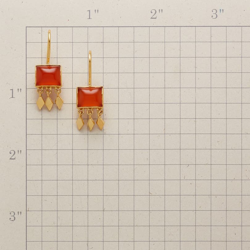 REINA LUPA EARRINGS view 1