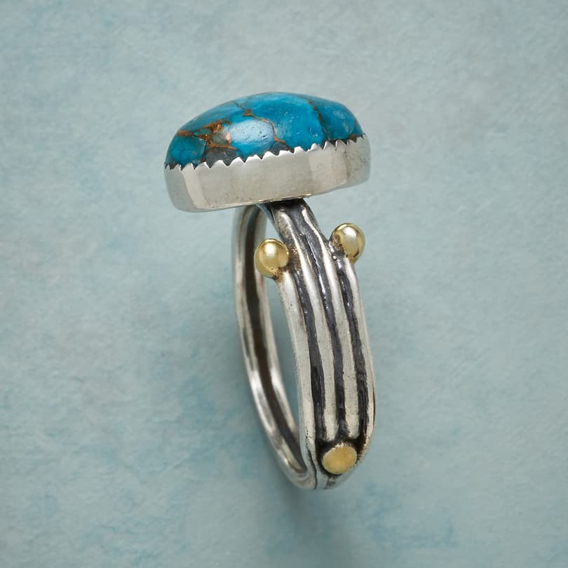 TURQUOISE TERRITORY RING view 1