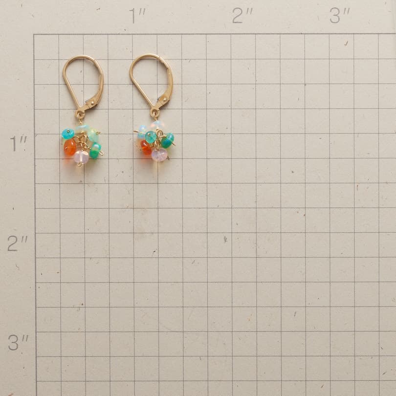 Hues Of Opal Earrings View 2