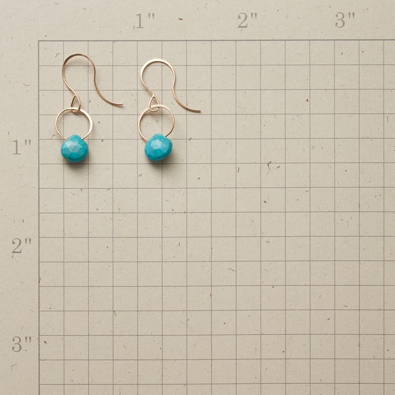 TURQUOISE SONG EARRINGS view 1