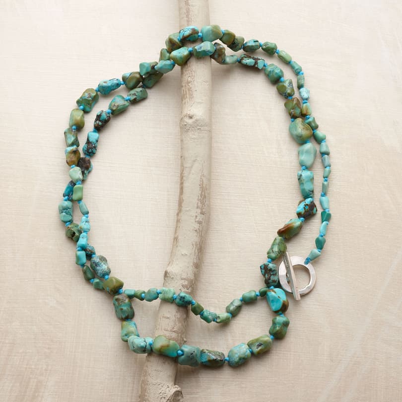 TURQUOISE SWIFT RIVER NECKLACE view 1