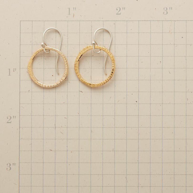 NOTCHED HOOPS view 1