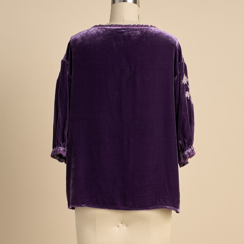 Alarie Velvet Top View 3