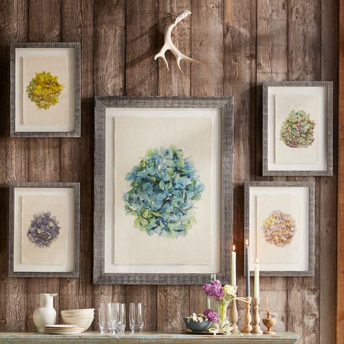 HYDRANGEA STUDIES PRINTS view 1