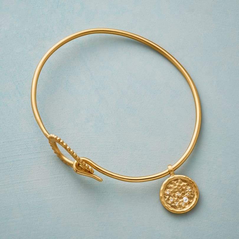 GOLD PLATE CHARMED ZODIAC view 1