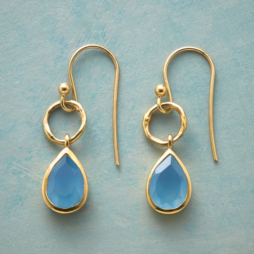 BLEU VUE EARRINGS view 1