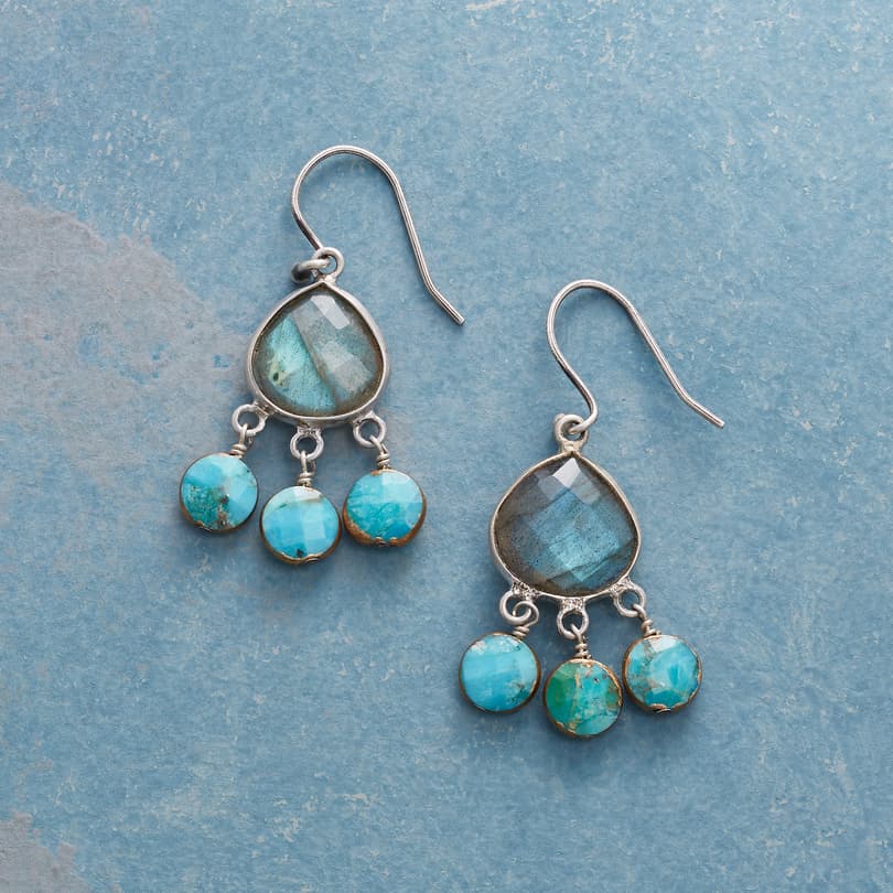 Sea &amp; Sky Earrings View 1