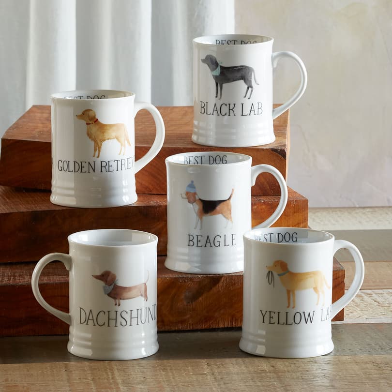  Abipuir Cool Coffee Mugs Women I Love My Golden Dachs