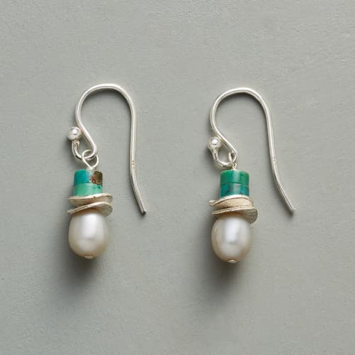 TURQUOISE TOPPER EARRINGS view 1