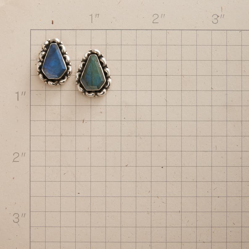 Ensconced Labradorite Earrings View 2