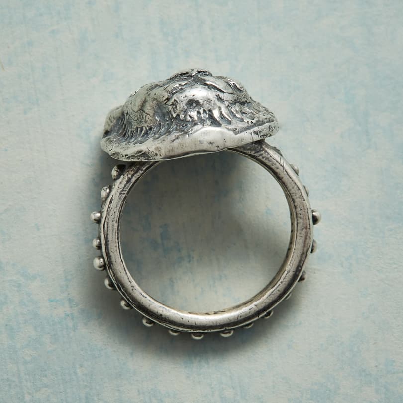 COURAGE AND TRUTH RING view 1