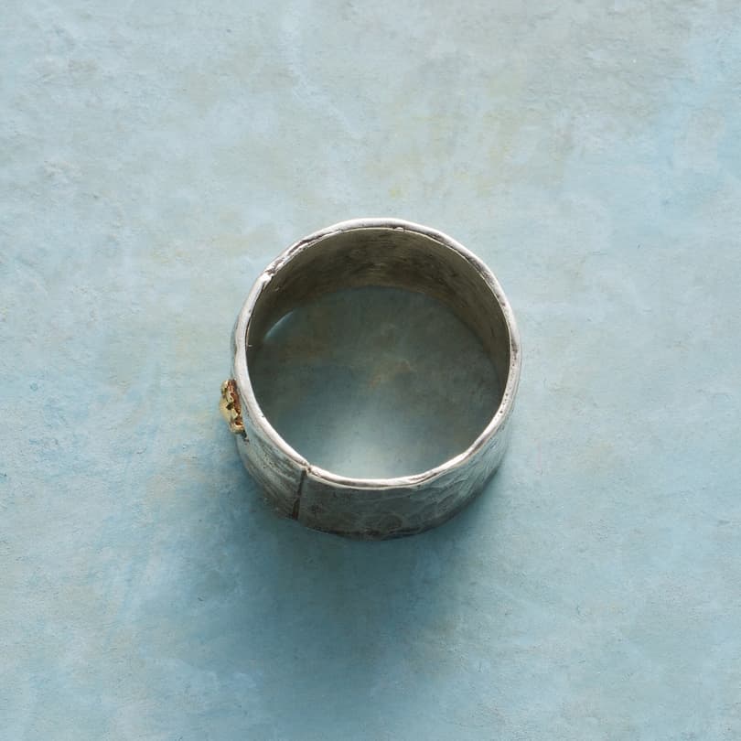 FIORENTINA RING view 1