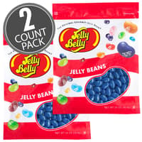 Blueberry Jelly Beans - 16 oz Re-Sealable Bag - 2 Pack