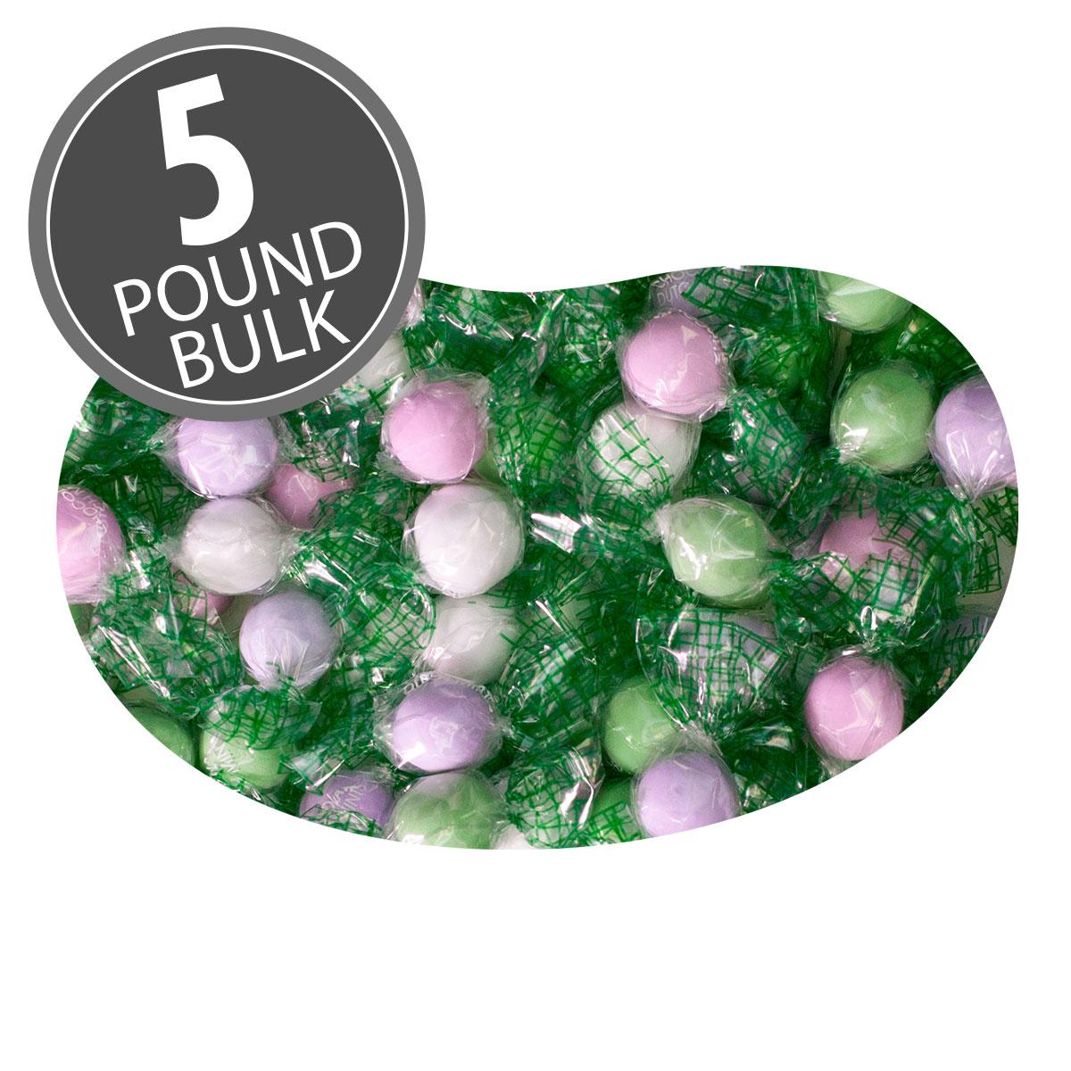 Chocolate Dutch Mints® TWIST Assorted 5 lbs bulk